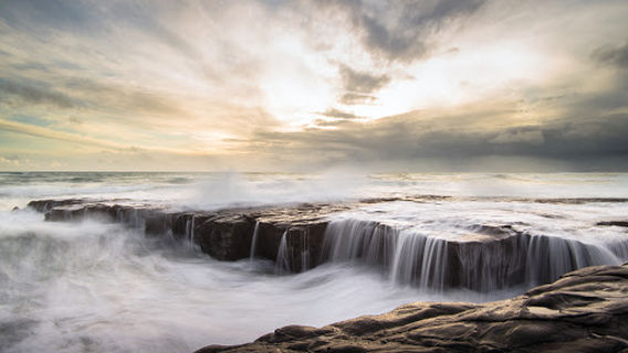 Muriwai