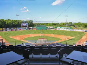 Wisconsin Timber Rattlers Baseball Club | Proud High-A Affiliate of the Milwaukee Brewers