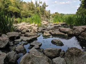 Holova Chatskoho
