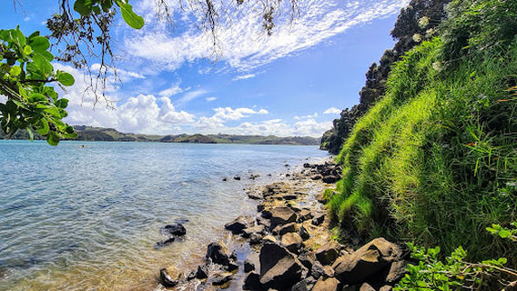 Kaitoke Walkway