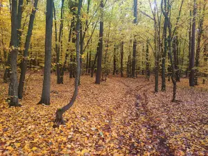 Malovanka Regional Landscape Park
