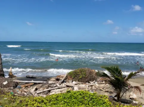 San Lorenzo Protected Forest