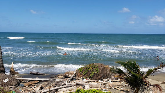 San Lorenzo Protected Forest