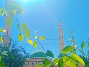 STY Sheikh El-Borai
