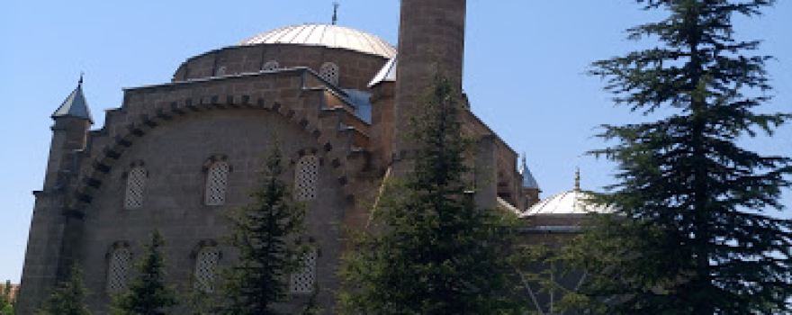 Cami