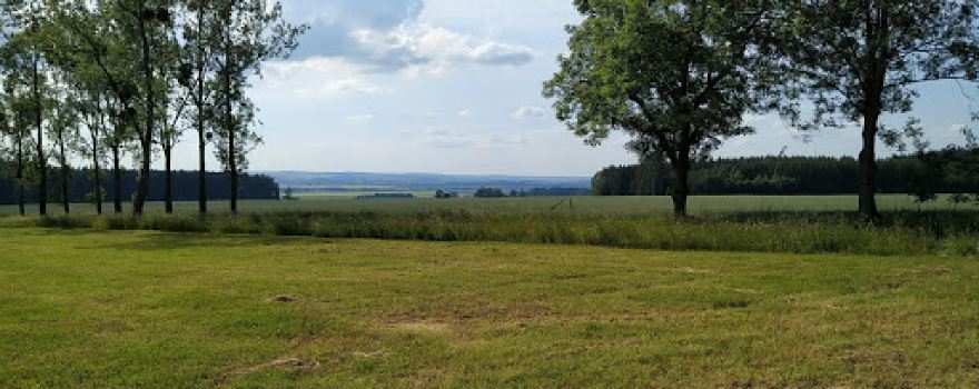 Brlenka Les