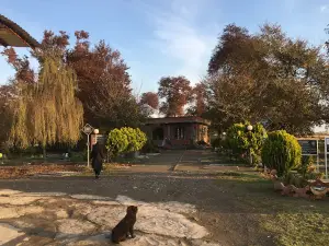 Imamzadeh Qasem