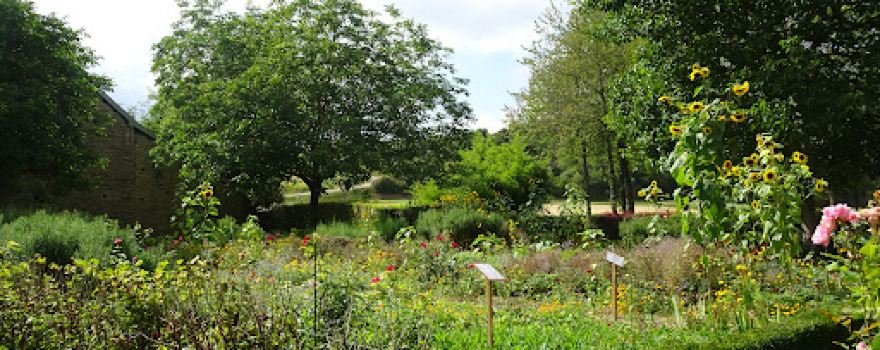 vendangeoir Garden