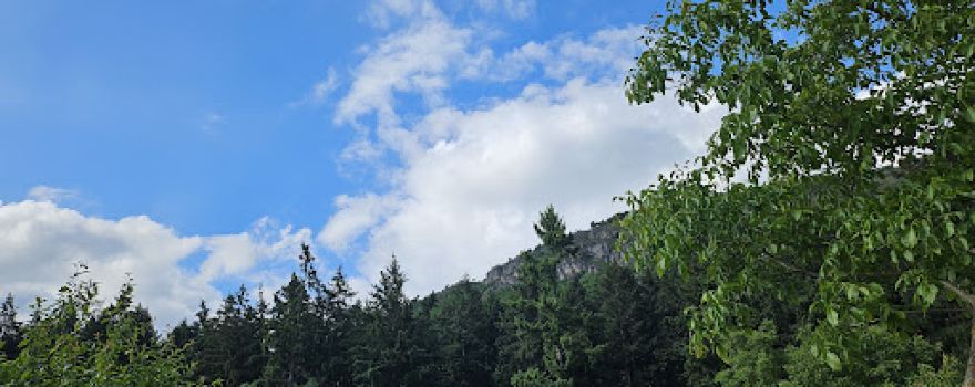 Parc de Bouycheres