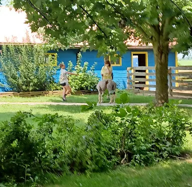 阿德萊德梅特卡夫