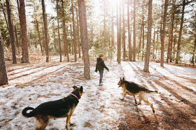 Fox Run Dog Park