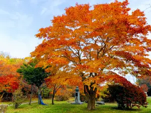 Tomakomai Midorigaoka Park