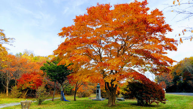 Tomakomai Midorigaoka Park