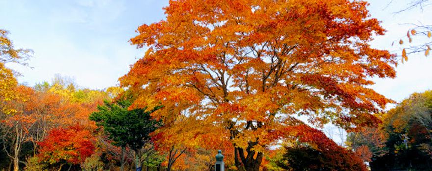 Midorigaoka Park