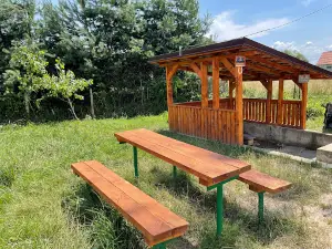 Maštinská štavica