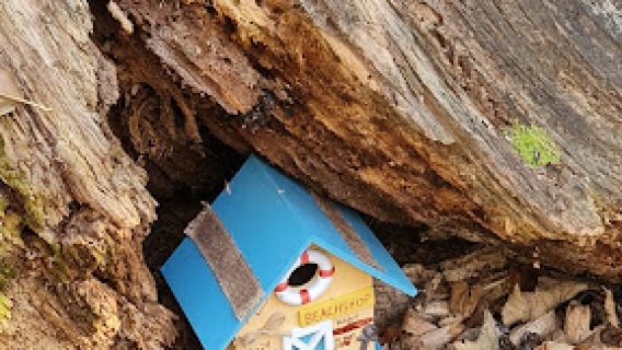 Fairy Door Walk