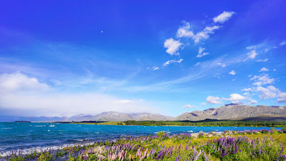 Lake Tekapo/Takapo View Point