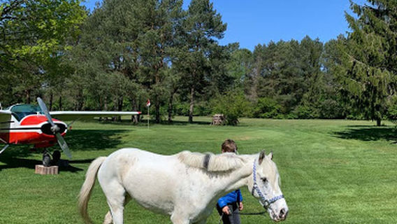 Kickgolf - Fussballgolf & Swingolf