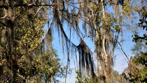 Mandalay Nature Trail