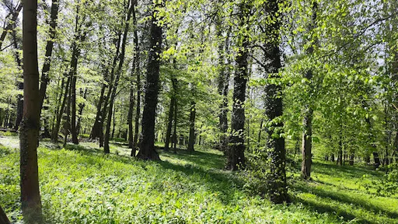 Stadion Miejski w Brzegu Dolnym