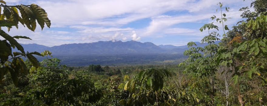 Limestone Pagar Alam