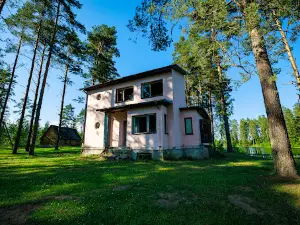 Tudulinna hüdroelektrijaam
