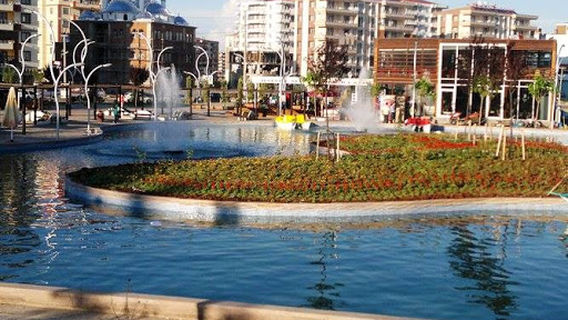 Park pond