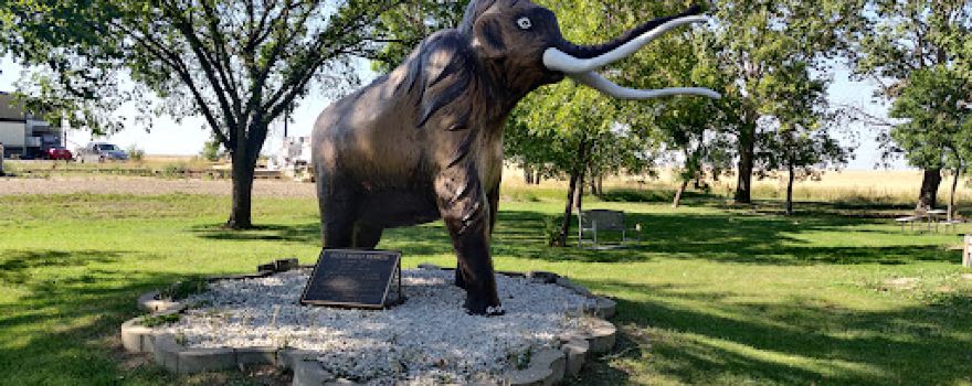 Wooly Mammoth Replica