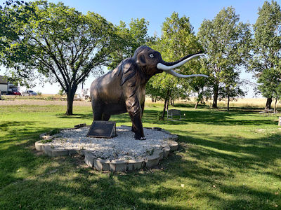Wooly Mammoth Replica