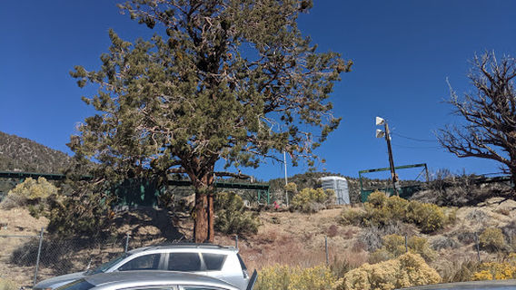 Big Bear Valley Sportsman's Club