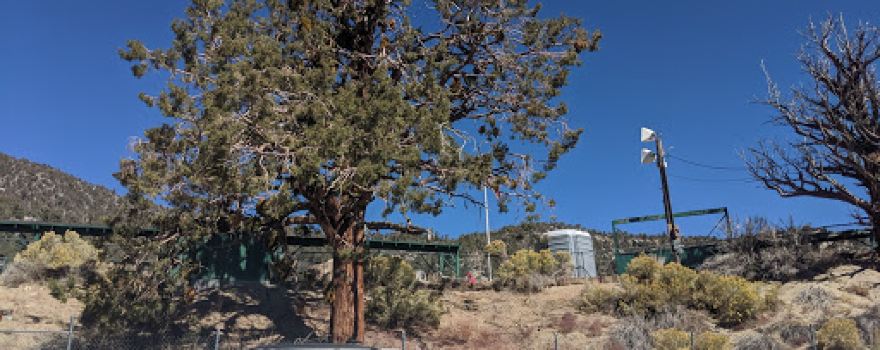Big Bear Valley Sportsman's Club