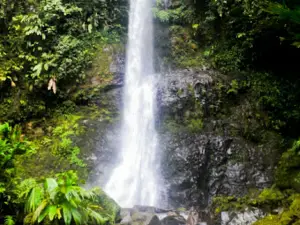 Natural Las Orquídeas National Park