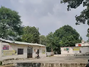 BABA NARSINGH DHAM