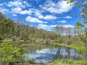 Dr. Lawless International Dark Sky Park