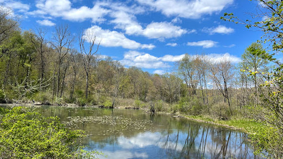 Dr. Lawless International Dark Sky Park