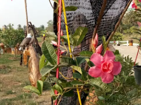 สวนศิลป์บ้านอินทร์SCM