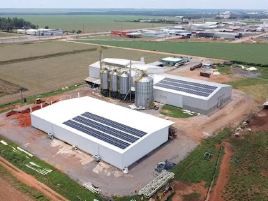 Dassoler Agronegócios