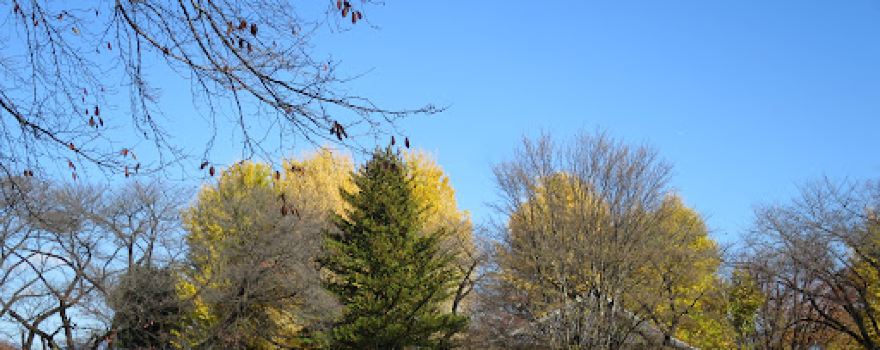 Juo Park