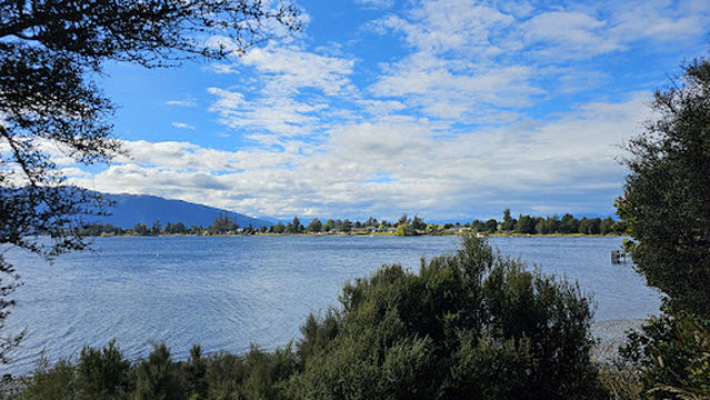 Te Anau Bird Sanctuary (Takahe sanctuary)