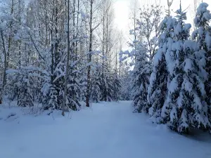 Vanagkalns