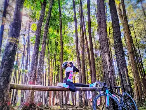 Wana Wisata Sreni Indah