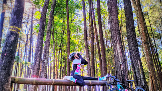 Wana Wisata Sreni Indah