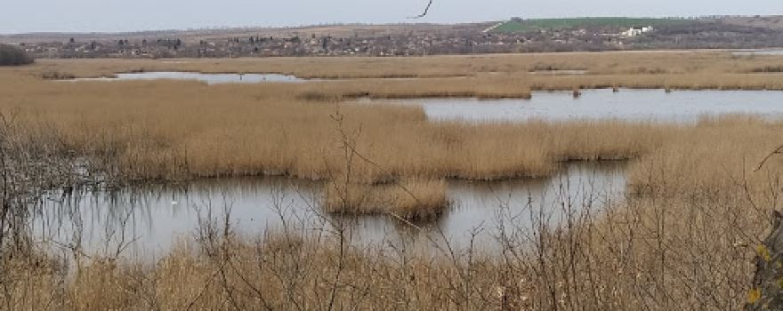 Srebarna lake