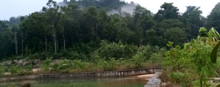 The Bukit, Muntok