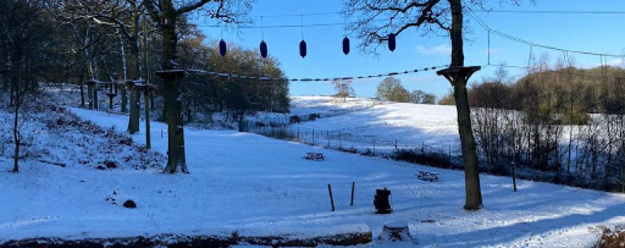 Trentham Treetop Adventures