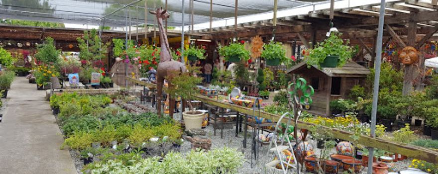 Alladin Nursery & Gift Shop