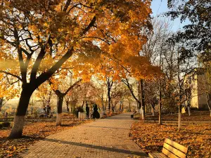 Park G Livny