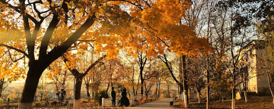 Park G Livny