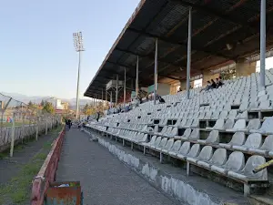 David Abashidze Stadium