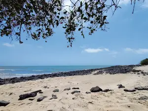Kashi Vishwanath Beach